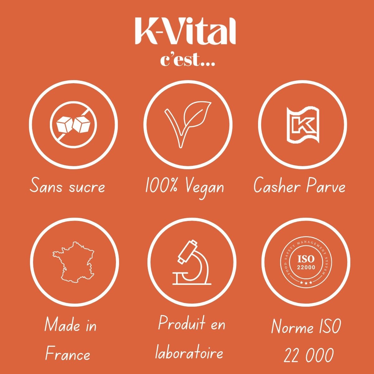 Gummies Multivitaminés Adulte Cachers
