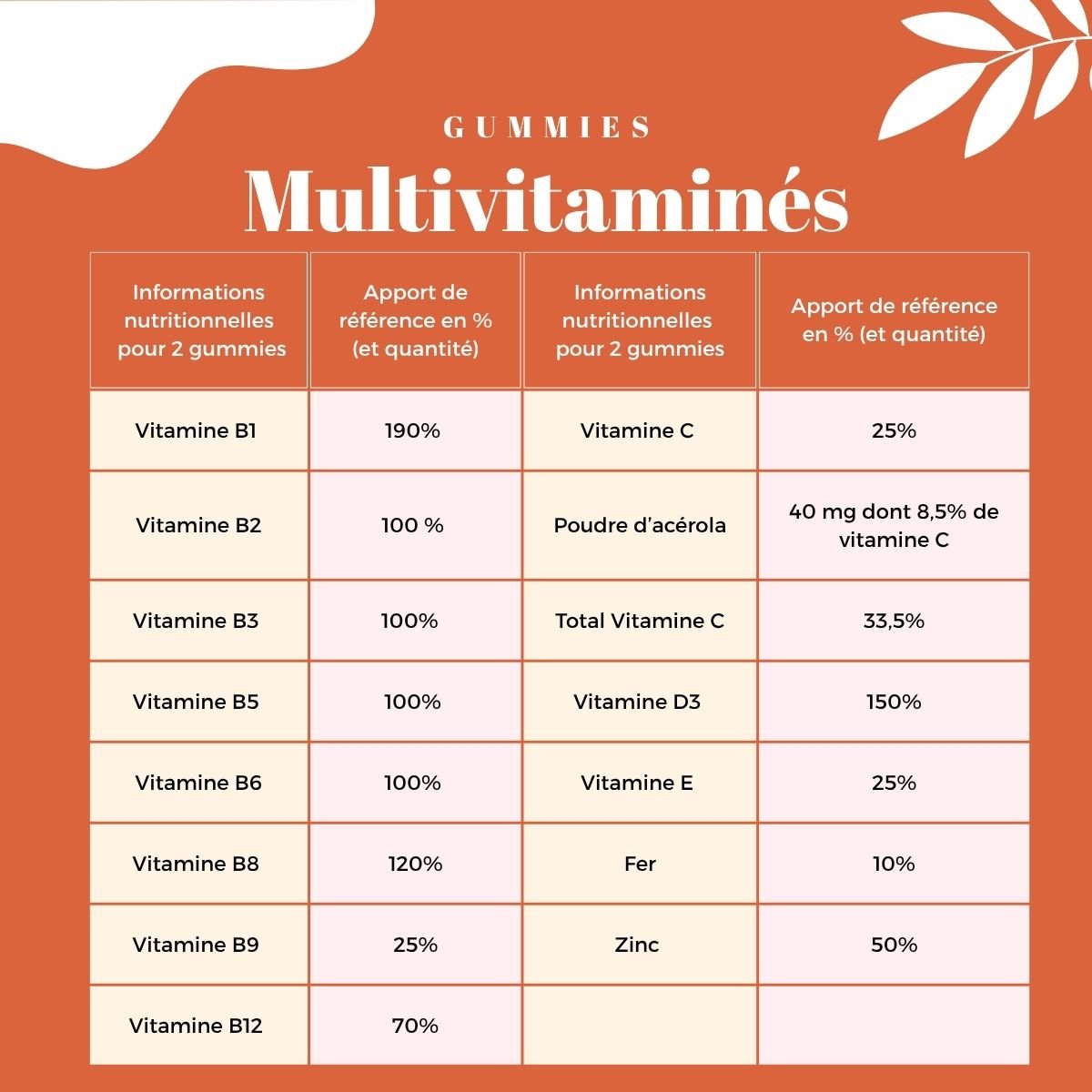 Gummies Multivitaminés Adulte Cachers